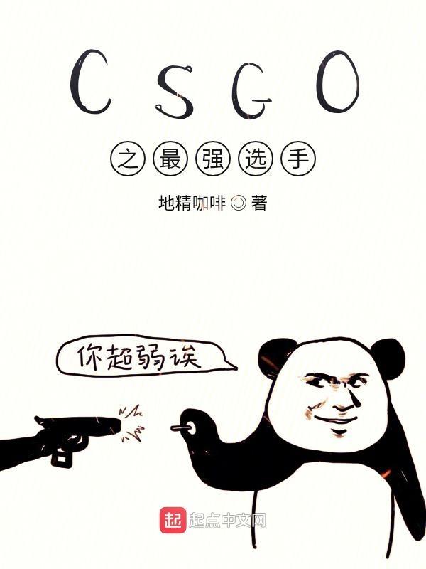 CSGO之最强选手txt下载
